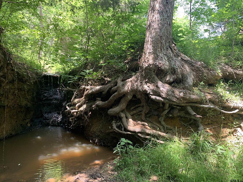 1st image of 10651 E County Road 41