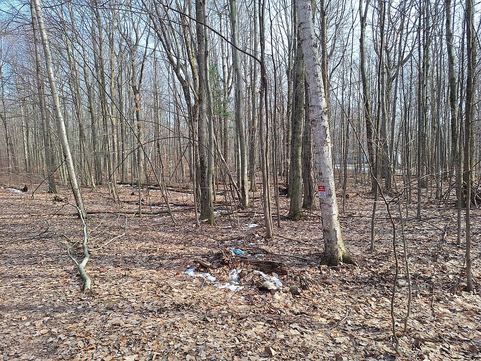 2nd image of V/l Birch Street 12 Blvd Lot 10-11-13