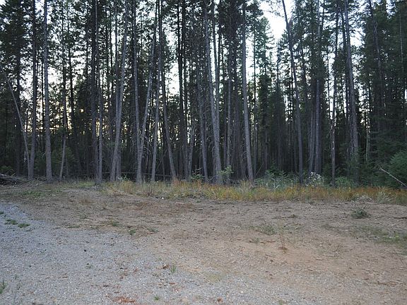 5th image of 55 Duncan Dr