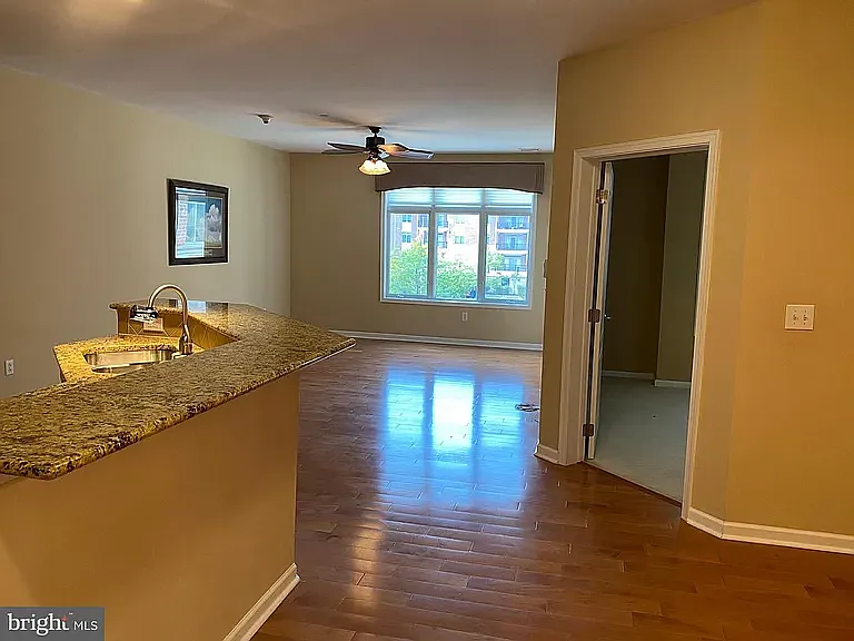 307 Carson Ter — Photo 13