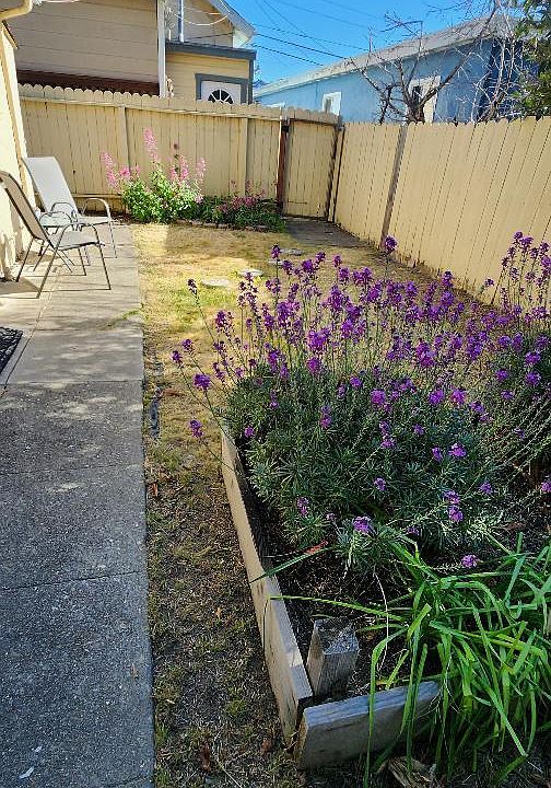 private yard