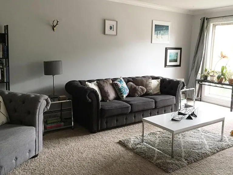 Large, carpeted living room with great natural light.