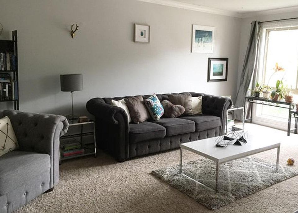 Large, carpeted living room with great natural light.