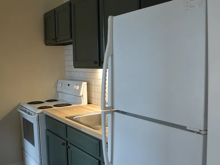 330 S Howes St #1 — Photo 9