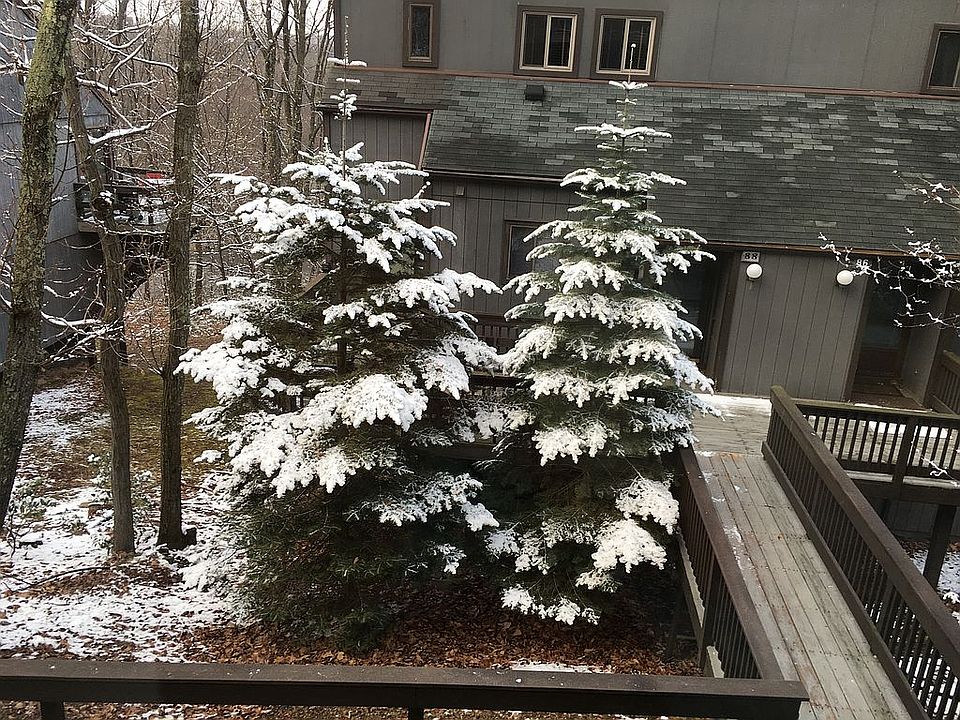 Gorgeous winter views 