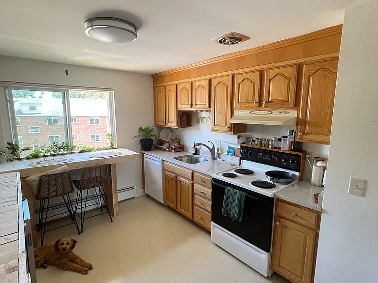 100 Charlesbank Way #A — Photo 7