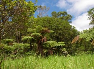 8 Road, Volcano, HI 96785