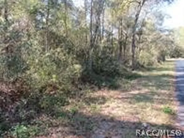 0 SW Monaco Ct, Dunnellon, FL 34431