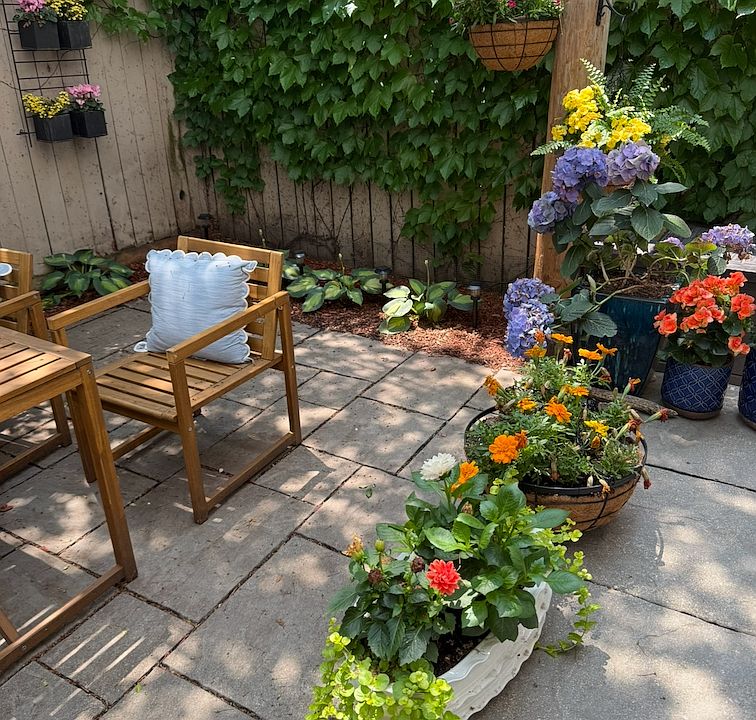 Newly Updated Garden / Backyard