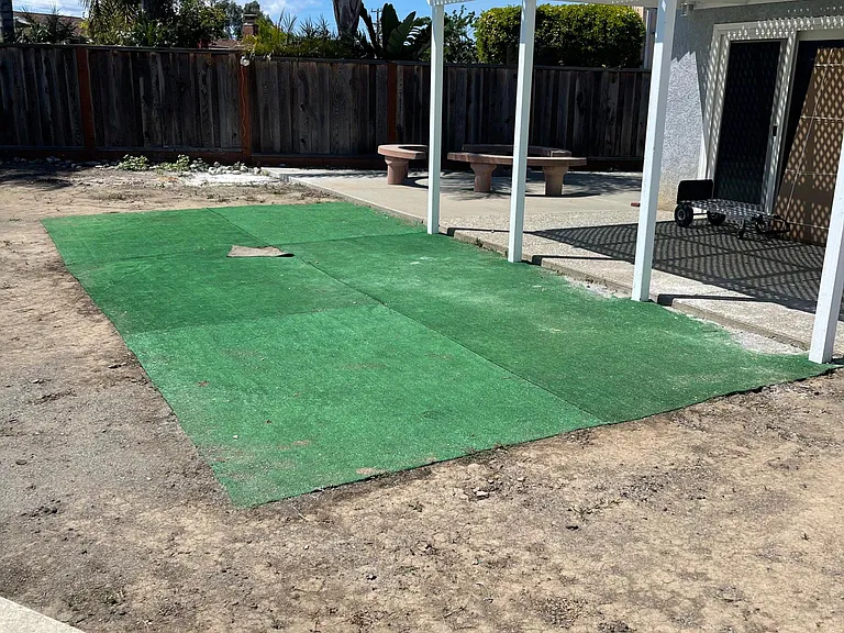 Backyard