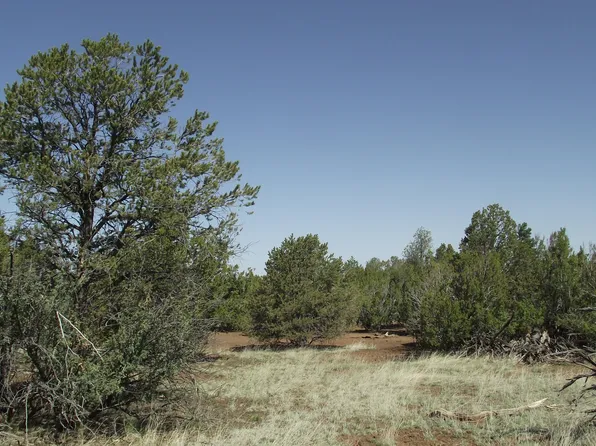 1443 E Antler Ln #550, Williams, AZ 86046