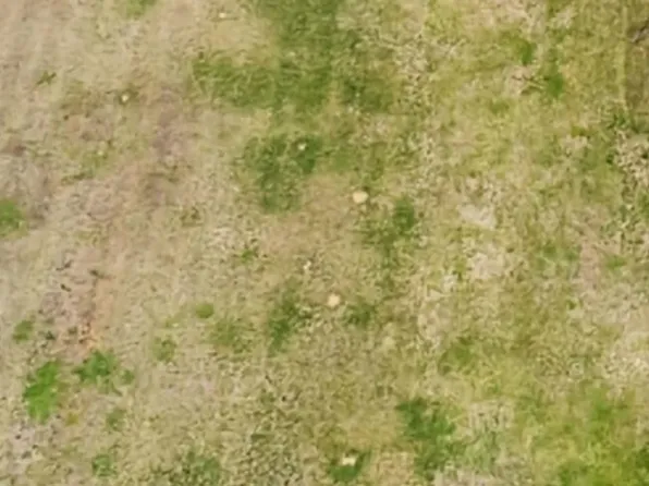 0 Pinewood Dr Lot 2, Maryville, TN 37803