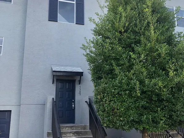 5305 Escena Ct, Tampa, FL 33611