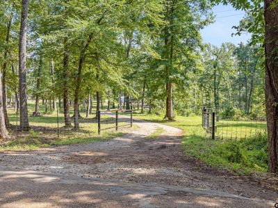 1927 Vz County Road 4915, Ben Wheeler, TX, 75754