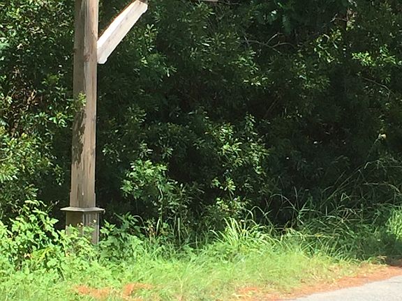 Feel the Ocean Breezes