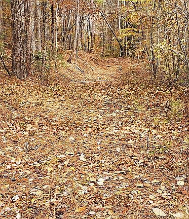 4th image of 2757 Hwy 282 Parcel 0108 023