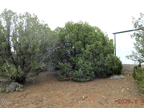 5th image of 8333 Ridge Dr