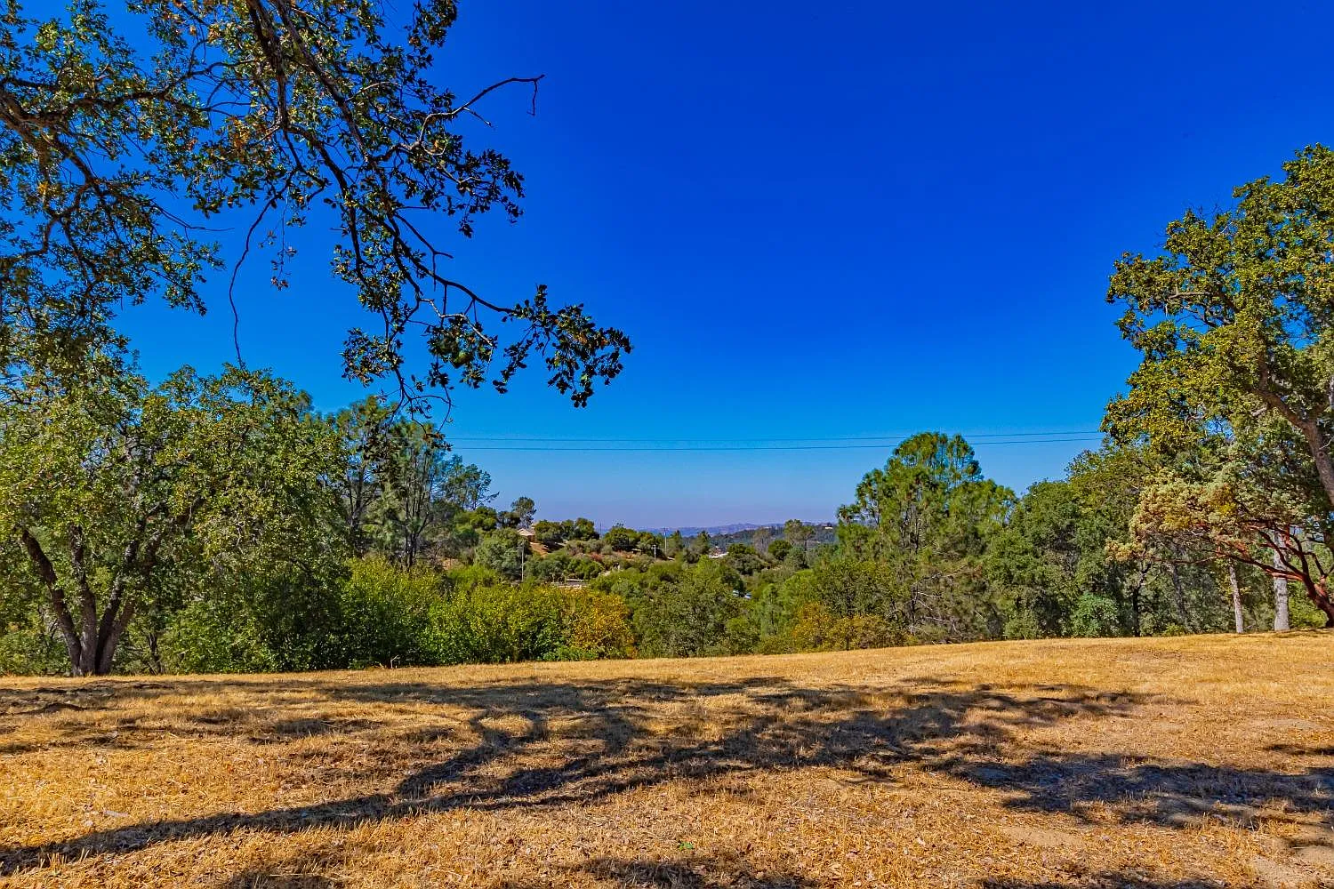 54544 Sunshine Terrace Dr photo 1