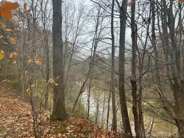 0 Beard Rd, Avoca, MI 48006