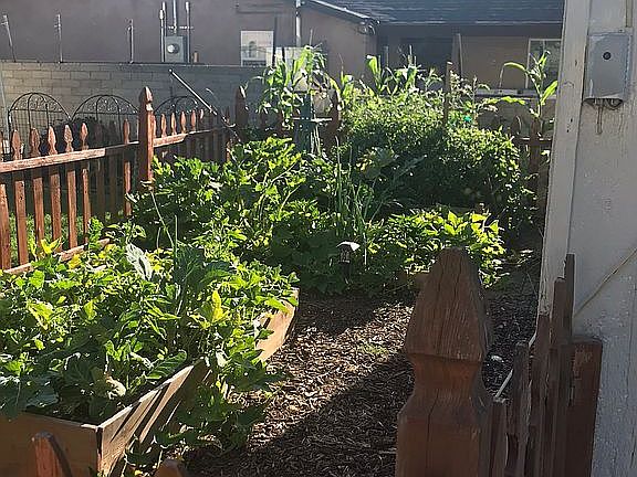 Garden area
