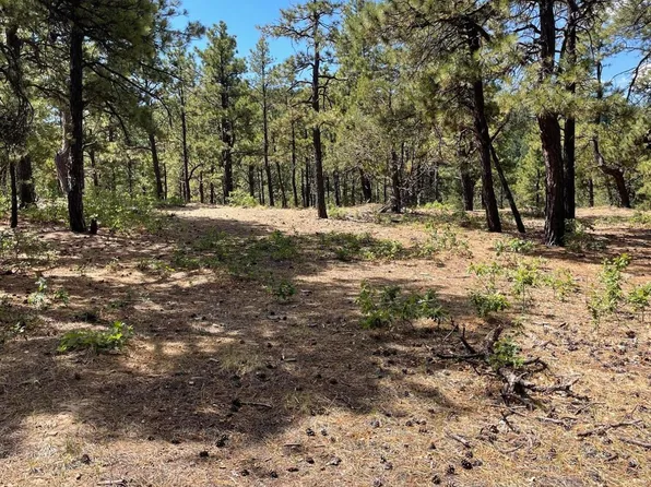 34300 Locust Ct, Trinidad, CO 81082