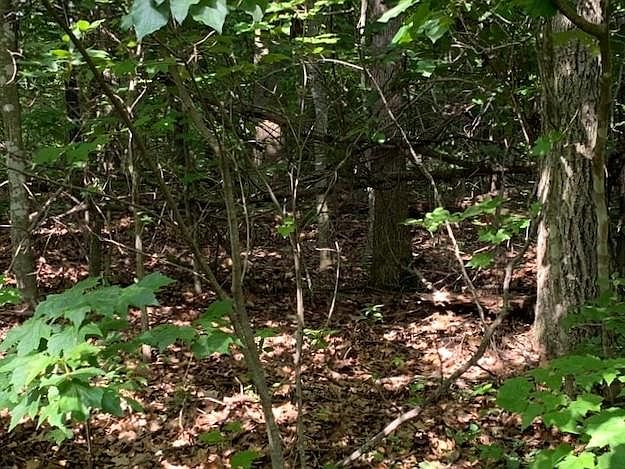 1st image of Lark Hall Ln