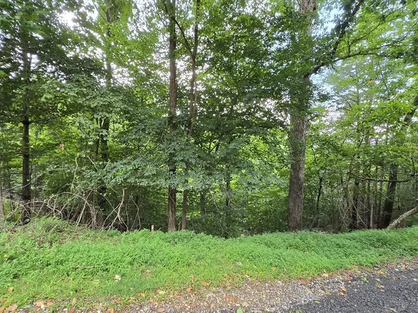 LOT 71 Necowa Cove Overlook, Blue Ridge, GA 30513