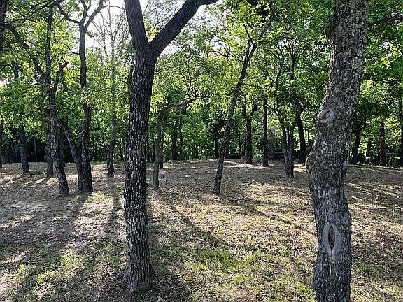 2nd image of 3902 Serendipity Hills Ct