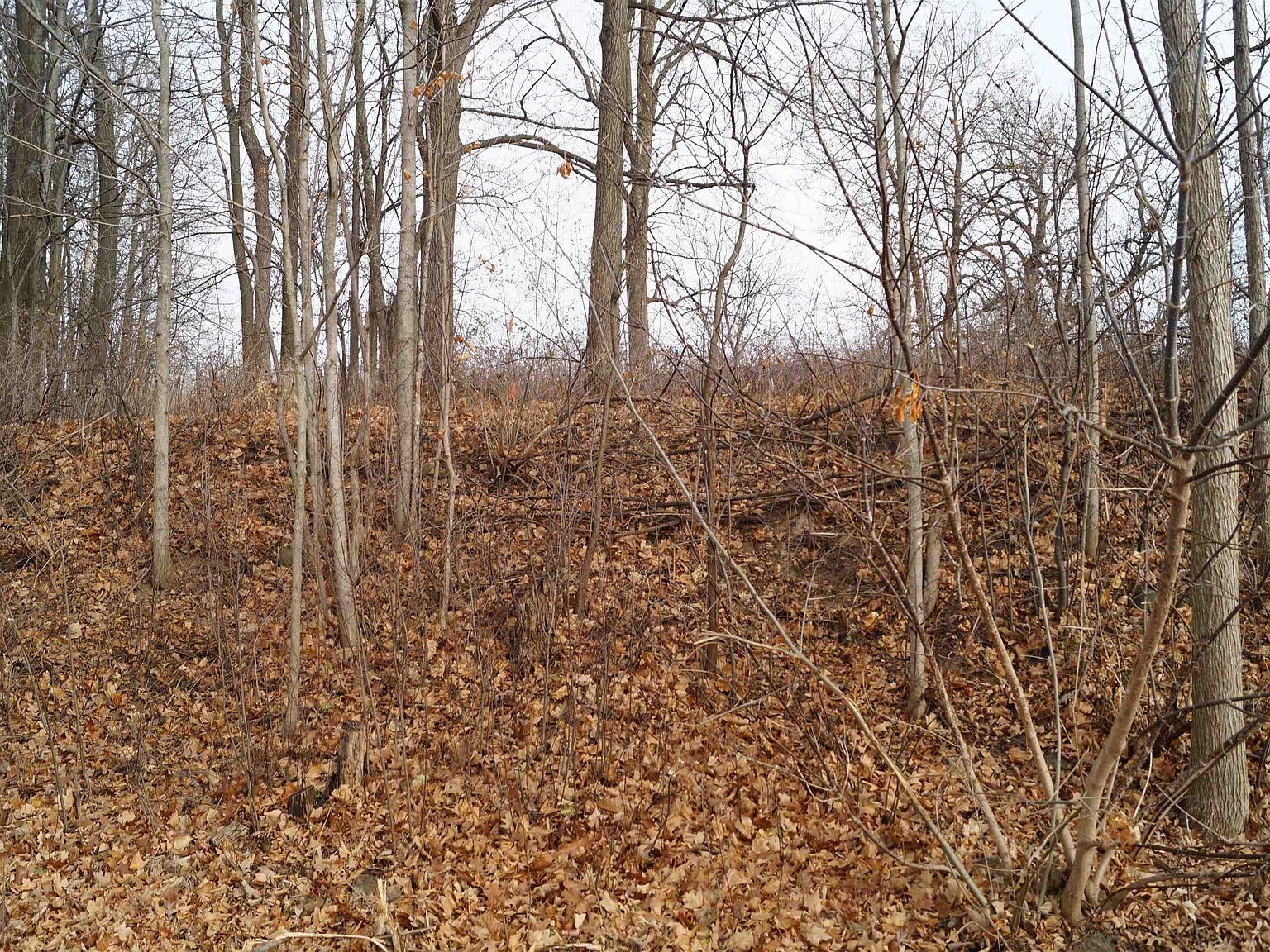 Lake Dr 1, Hustisford, WI 53034 Zillow