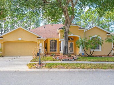 269 Randon Ter, Lake Mary, FL, 32746