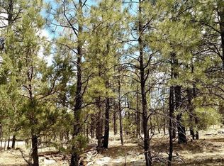 3123 Durango Dr, Happy Jack, AZ 86024