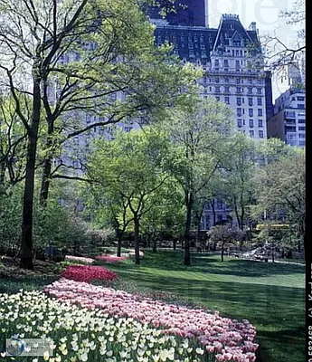 Rented by Metropolitan Property Group | media 8