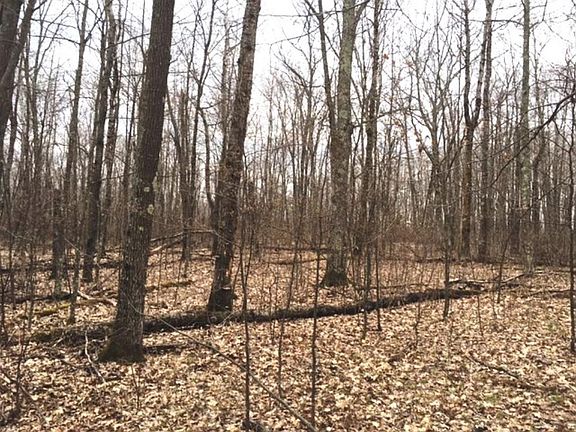 5th image of Xyz Valley Farm Road Kettle River Twp