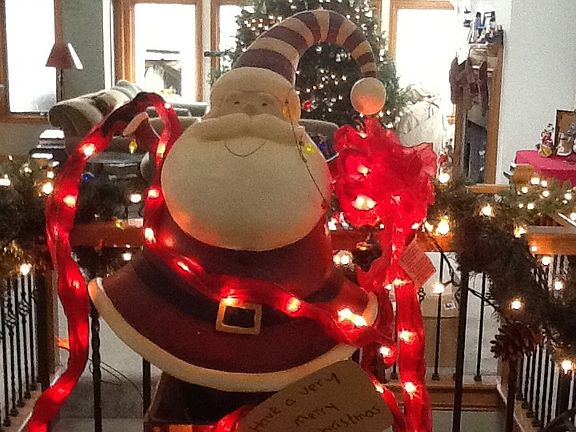 20' tree in living room