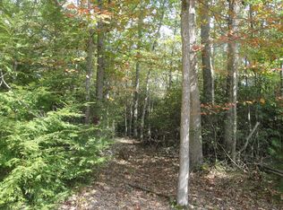 Beaver Creek Rd LOT 10, Marlinton, WV 24954