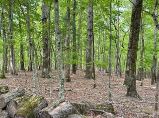 Bakers Fiord Rd, Sautee Nacoochee, GA 30571