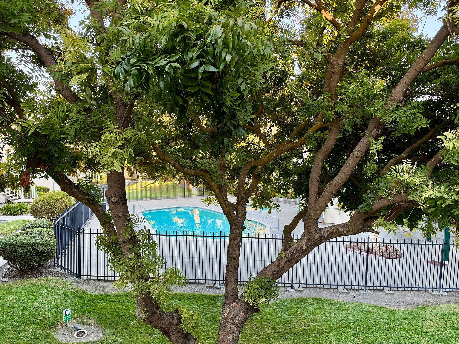 2 bed, 908 sqft, $2,948 — Photo 4