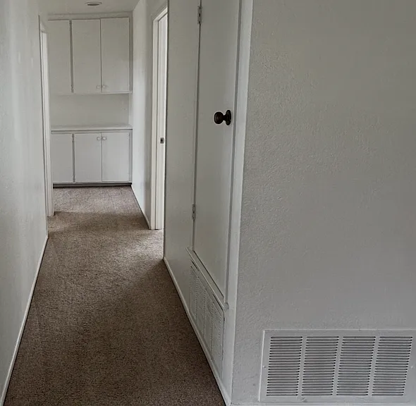 1351 Camino Teresa — Photo 8