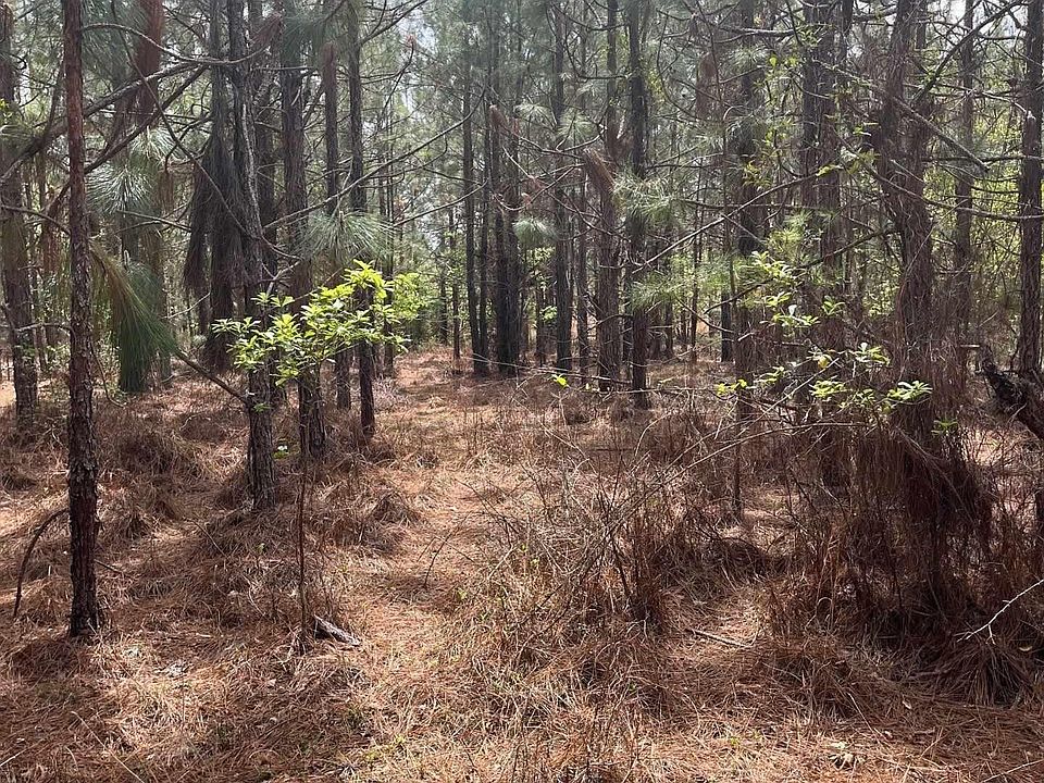 1st image of Bdf 3 Beaverdam Rd #Bdf-3