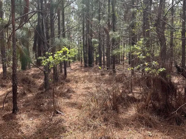 Bdf 3 Beaverdam Rd #Bdf-3, Cassatt, SC 29032