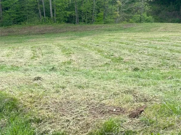 County Line Rd, Saint Marys, WV 26170