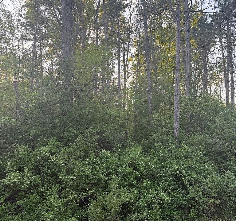 1st image of Miner Rd Lot 1