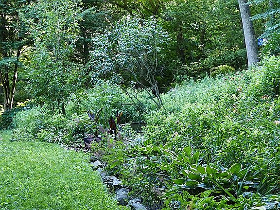 July2018 BackYard