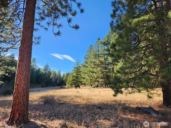 20 XX Microwave Road, Cle Elum, WA 98922