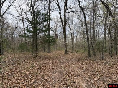 687 County Road 479, Mountain Home, AR, 72653