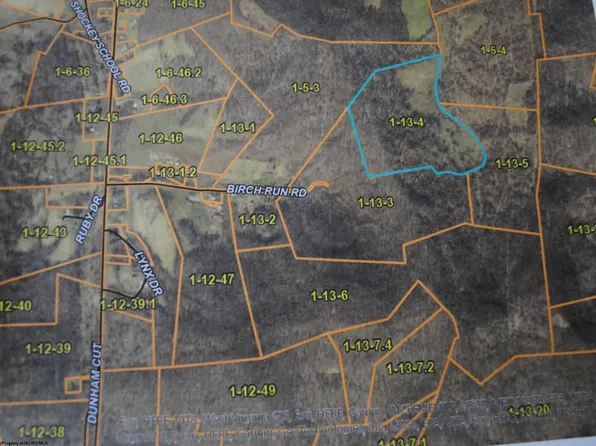 Birch Run Rd, Belington, WV 26250