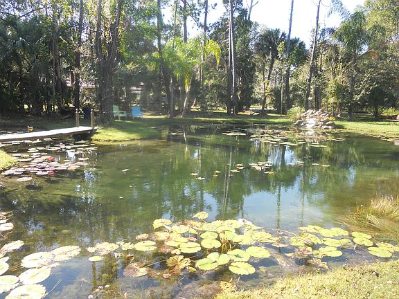 artesian spring fed pond
