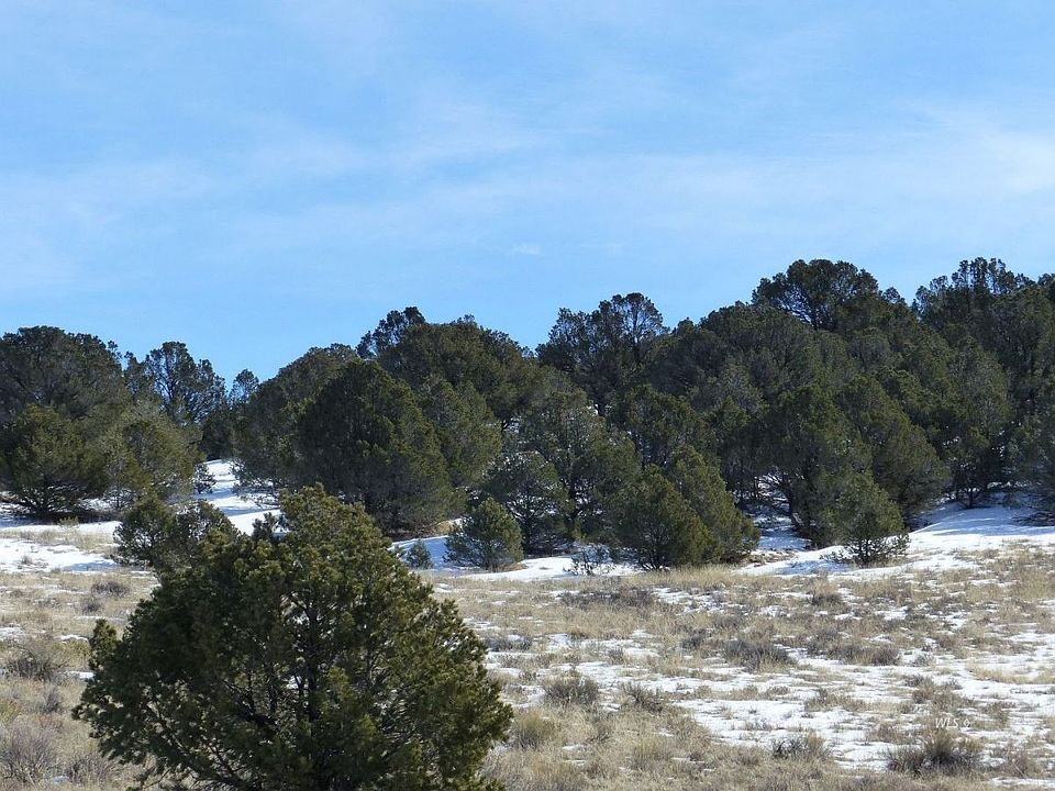 144 Ute Rd Westcliffe, CO, 81252 Apartments for Rent Zillow