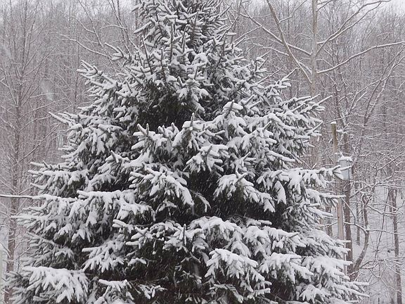 15th image of this home