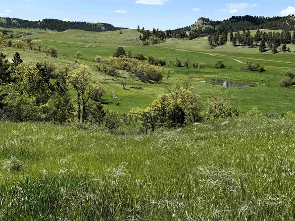 E11 Black Bear Rd, Hulett, WY 82720